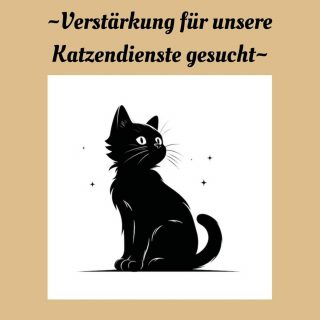 Wir brauchen Hilfe für die Katzen-Quarantäne-Station