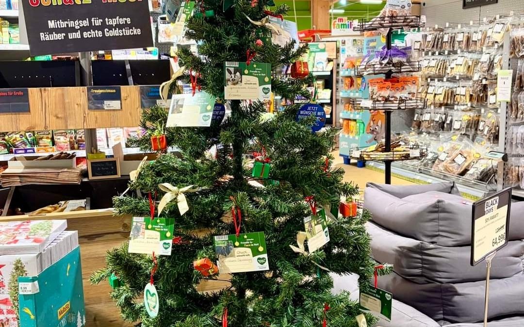 Unser Spendenbaum im Fressnapf Vaihingen Enz steht wieder