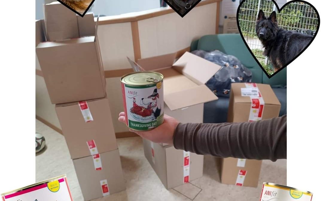 Futterspenden Aktion – AniFit -ist beendet