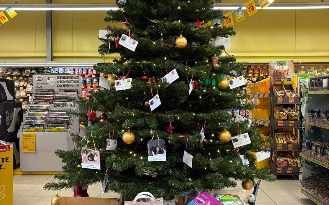 Auch im Futterhaus steht ein Spendenbaum für unsere Tiere