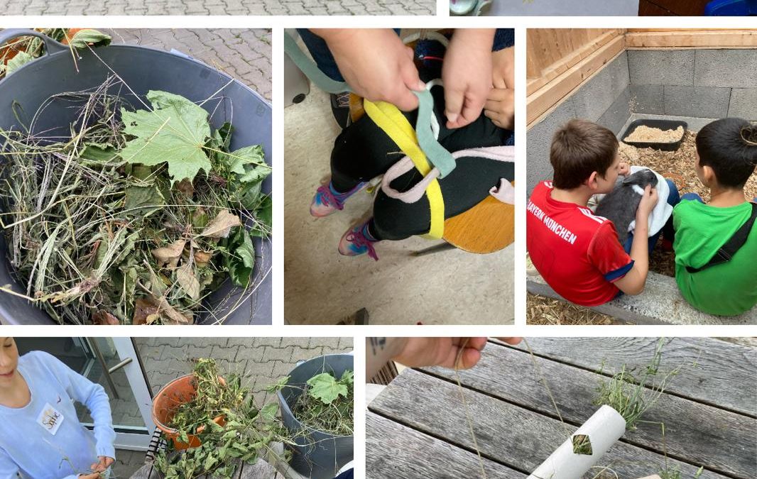 Sommerferienprogramm am 04.08. & 05.08.2025