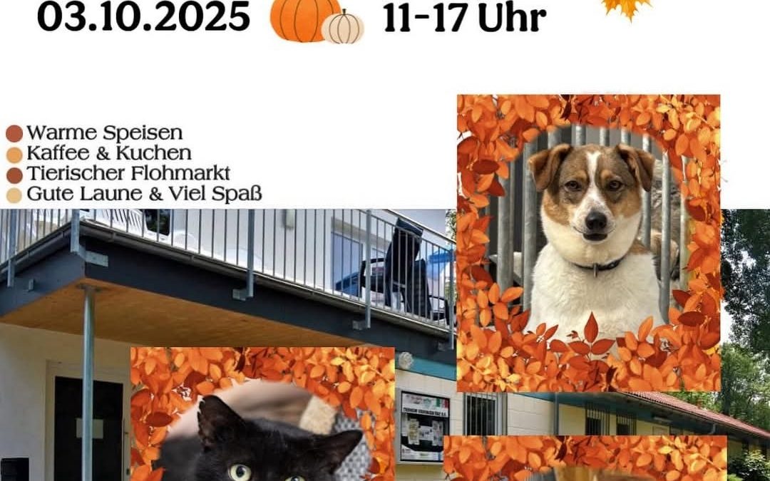 Herbstfest am 03.10.2025