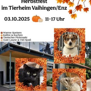 Herbstfest am 03.10.2025
