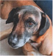 Lady Privatvermittlung