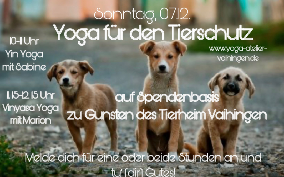 Yoga für den Tierschutz