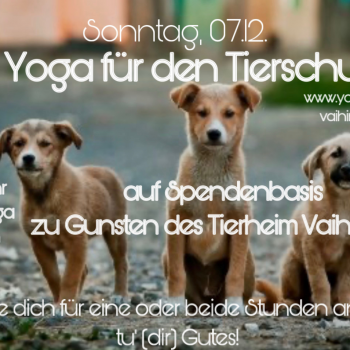 Yoga für den Tierschutz
