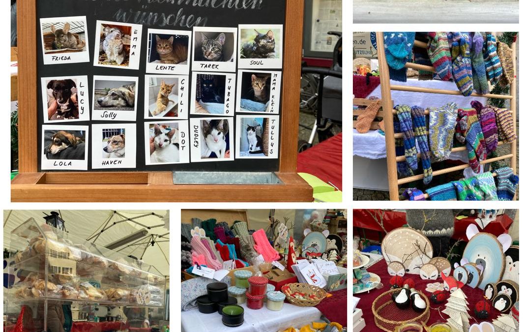 Vaihinger Weihnachtsmarkt am 29.11.2025