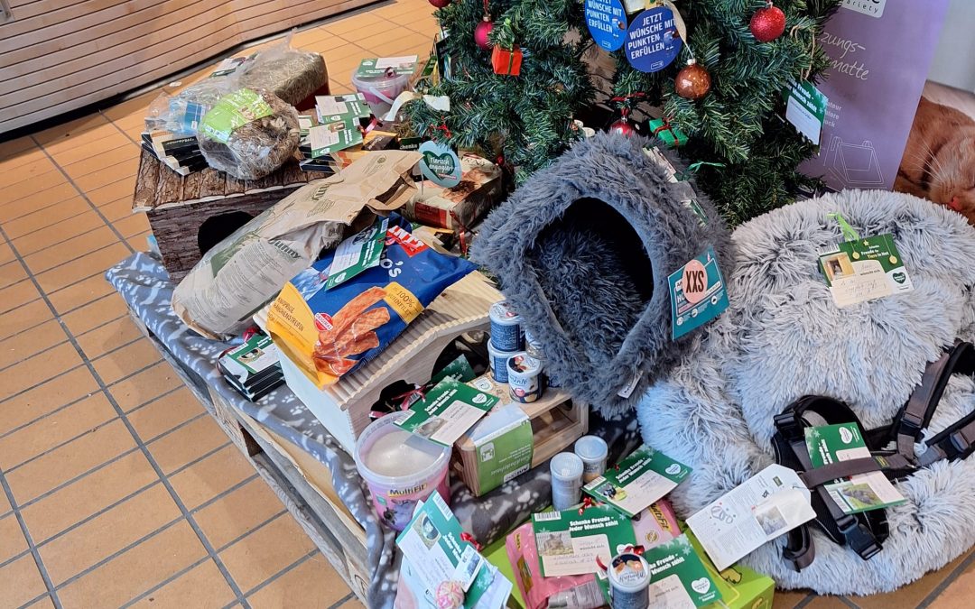 Herzlichen Dank für die wunderbare Weihnachtsbaumaktion!