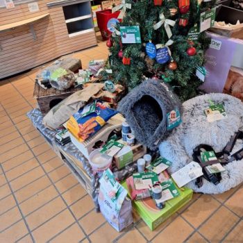 Herzlichen Dank für die wunderbare Weihnachtsbaumaktion!