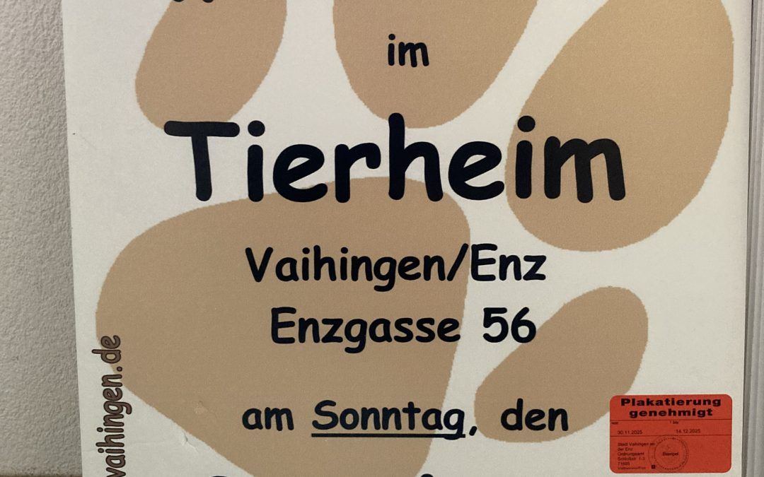 Weihnachten im Tierheim am 3. Advent