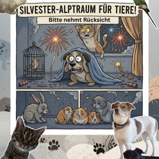 Rücksicht statt Raketen!