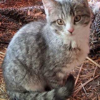 Malina, Mara, Marley