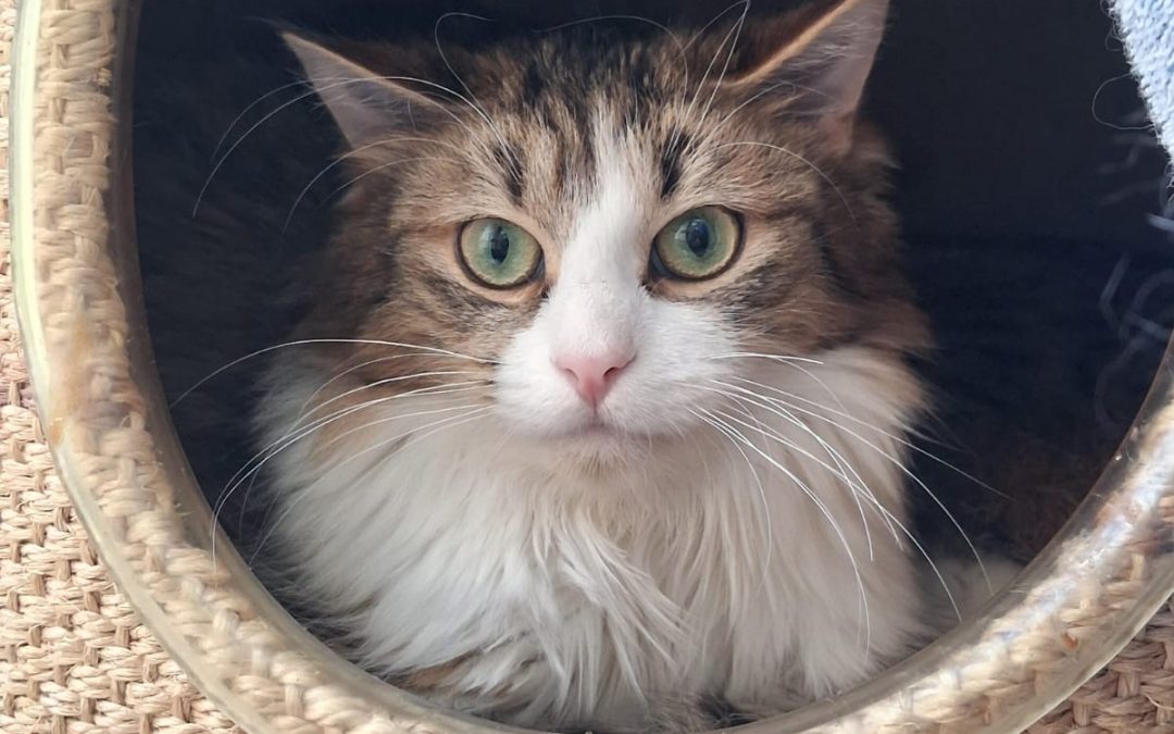 Maze, Meltem, Marni und Michio