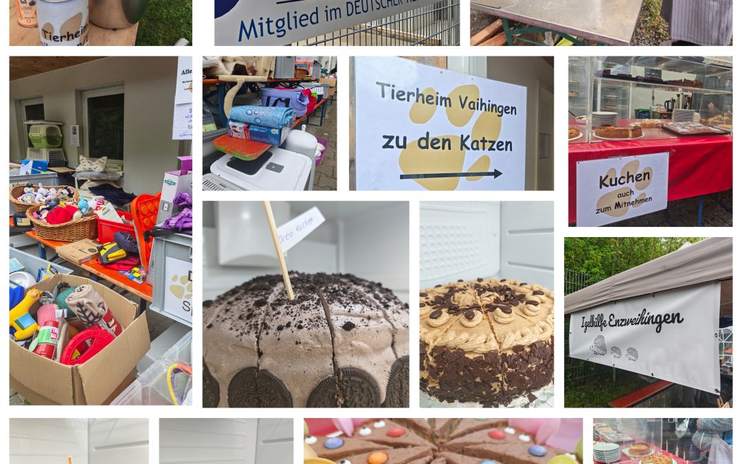 Rückblick auf unser Frühlingsfest – ein voller Erfolg! 🌸