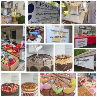 Rückblick auf unser Frühlingsfest - ein voller Erfolg! 🌸