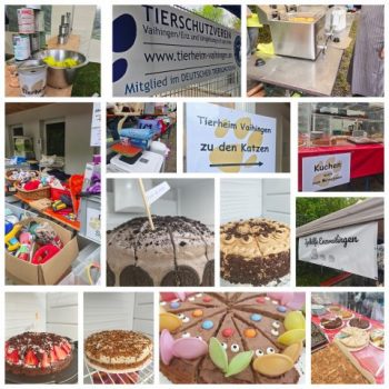 Rückblick auf unser Frühlingsfest - ein voller Erfolg! 🌸