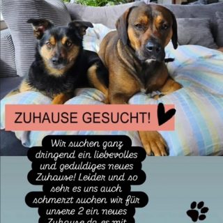 Rusty und Nakita Privatvermittlung