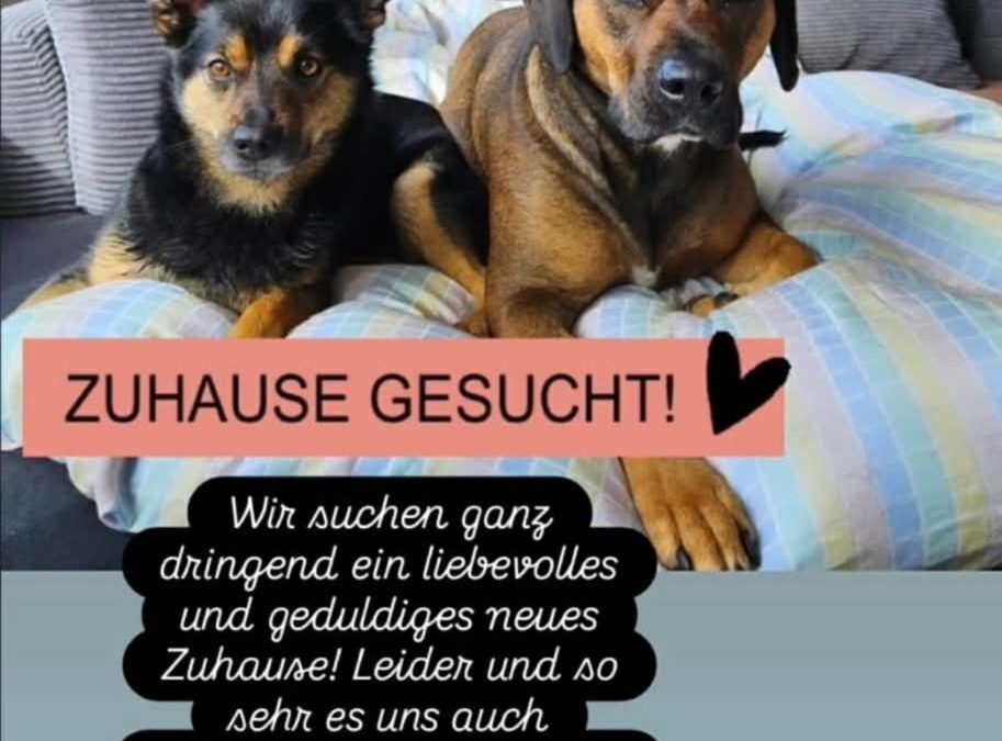 Rusty und Nakita Privatvermittlung