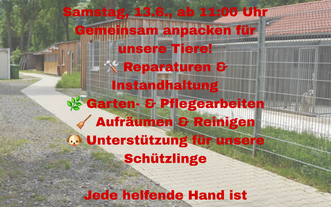 Großer Arbeitseinsatz im Tierheim