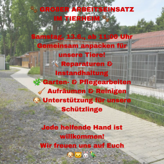 Großer Arbeitseinsatz im Tierheim