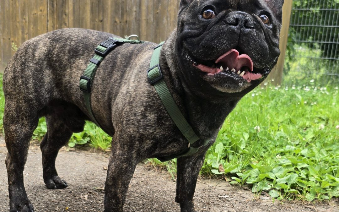 Tyson