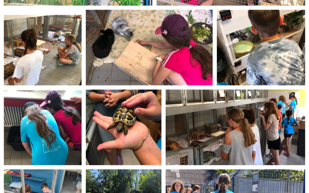 🐾 Ein Tag unter Tierfreunden – unsere Jugendgruppe zu Gast im Tierheim Karlsruhe🐾