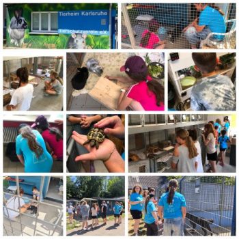 🐾 Ein Tag unter Tierfreunden - unsere Jugendgruppe zu Gast im Tierheim Karlsruhe🐾