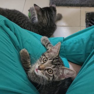 Hubert und Heinrich