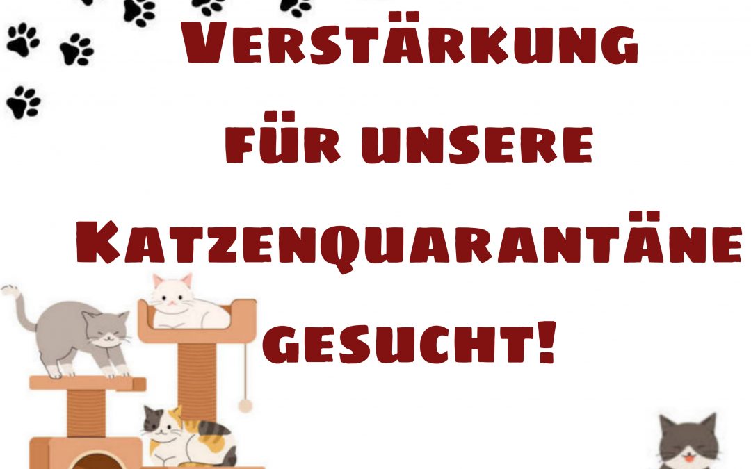 Verstärkung gesucht!