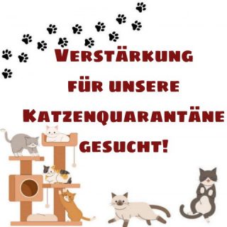 Verstärkung gesucht!