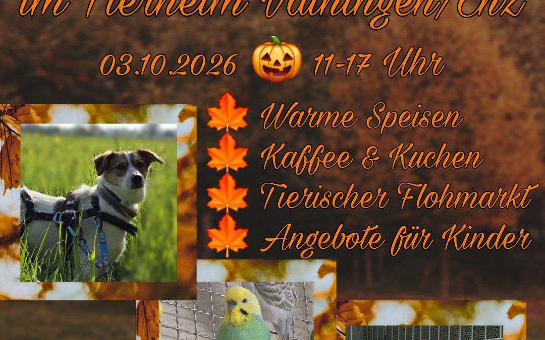 Herzliche Einladung zu unserem Herbstfest