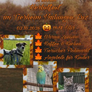 Herzliche Einladung zu unserem Herbstfest