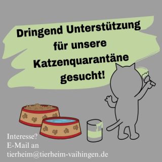 Helfer für die Katzenquarantäne gesucht!
