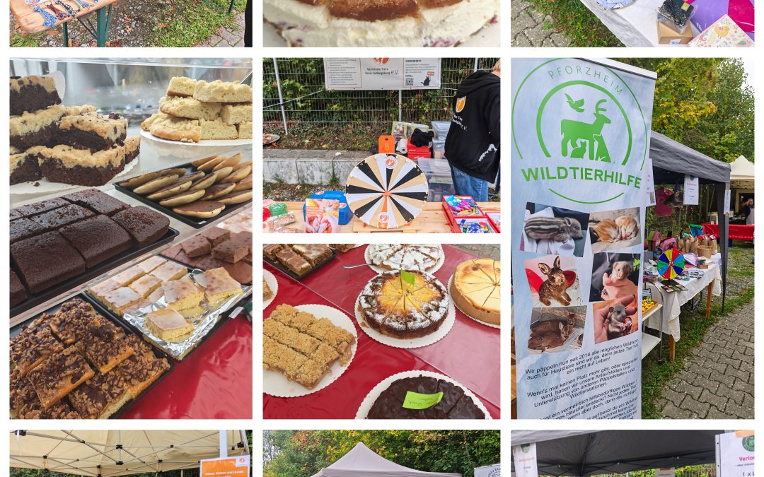 Gelungenes Herbstfest mit vielen Besuchern